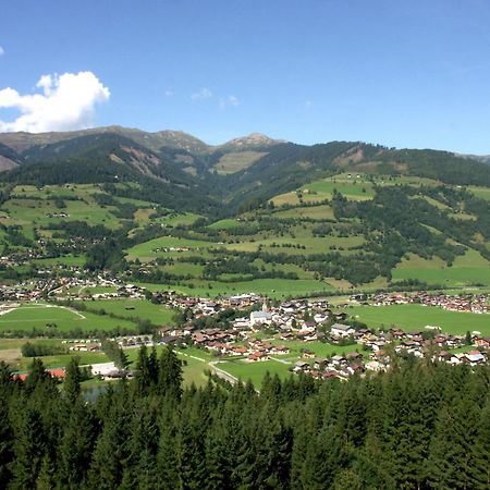 Hotel Gasthof Kroell - Inkl Nationalpark-Karte, 1 X Grossglockner Hochalpenstrasse Kostenlos, 1X Gerlos Alpenstrasse Kostenlos, Krimmler Wasserfaelle Kostenlos, Verschiedene Bergbahnen Kostenlos, Badesee Kostenlos, Bus & Zug Kostenlos, Genusskueche, Niedernsill Exteriér fotografie