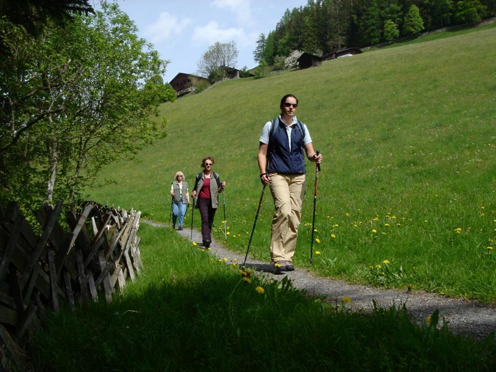 Hotel Gasthof Kroell - Inkl Nationalpark-Karte, 1 X Grossglockner Hochalpenstrasse Kostenlos, 1X Gerlos Alpenstrasse Kostenlos, Krimmler Wasserfaelle Kostenlos, Verschiedene Bergbahnen Kostenlos, Badesee Kostenlos, Bus & Zug Kostenlos, Genusskueche, Niedernsill Exteriér fotografie