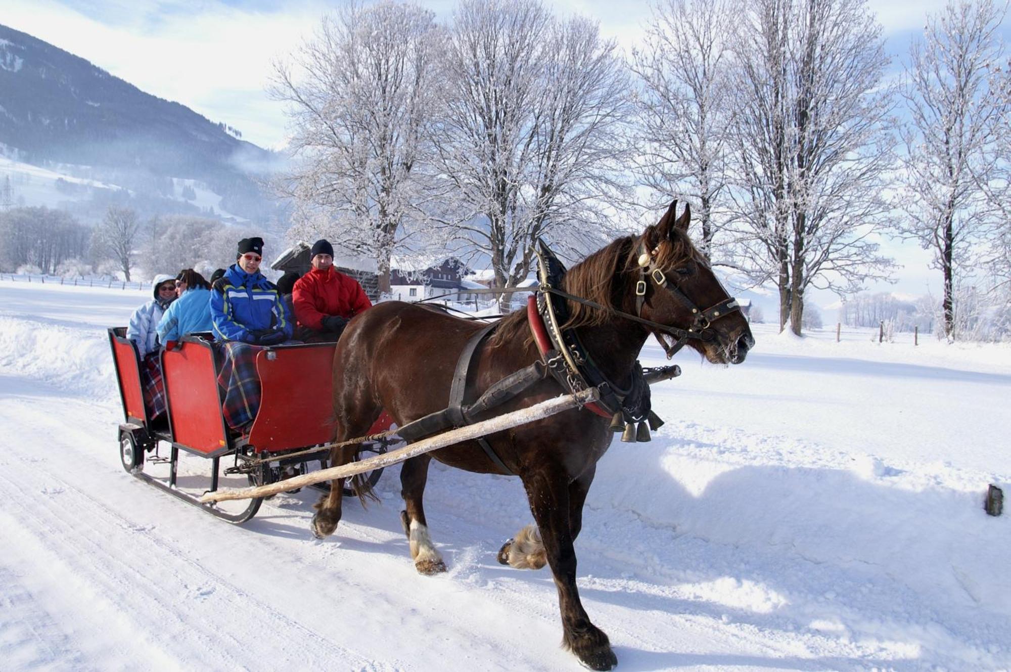 Hotel Gasthof Kroell - Inkl Nationalpark-Karte, 1 X Grossglockner Hochalpenstrasse Kostenlos, 1X Gerlos Alpenstrasse Kostenlos, Krimmler Wasserfaelle Kostenlos, Verschiedene Bergbahnen Kostenlos, Badesee Kostenlos, Bus & Zug Kostenlos, Genusskueche, Niedernsill Exteriér fotografie