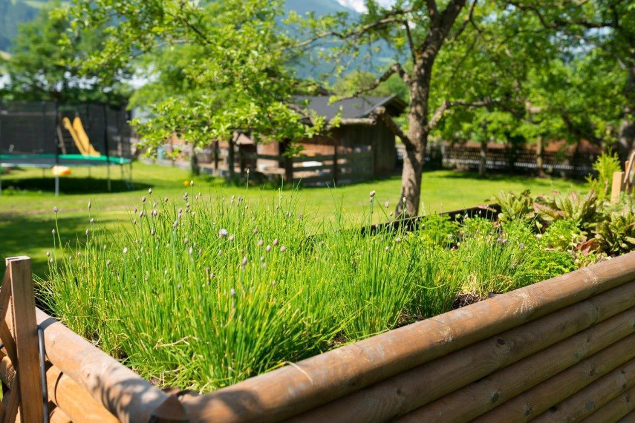 Hotel Gasthof Kroell - Inkl Nationalpark-Karte, 1 X Grossglockner Hochalpenstrasse Kostenlos, 1X Gerlos Alpenstrasse Kostenlos, Krimmler Wasserfaelle Kostenlos, Verschiedene Bergbahnen Kostenlos, Badesee Kostenlos, Bus & Zug Kostenlos, Genusskueche, Niedernsill Exteriér fotografie